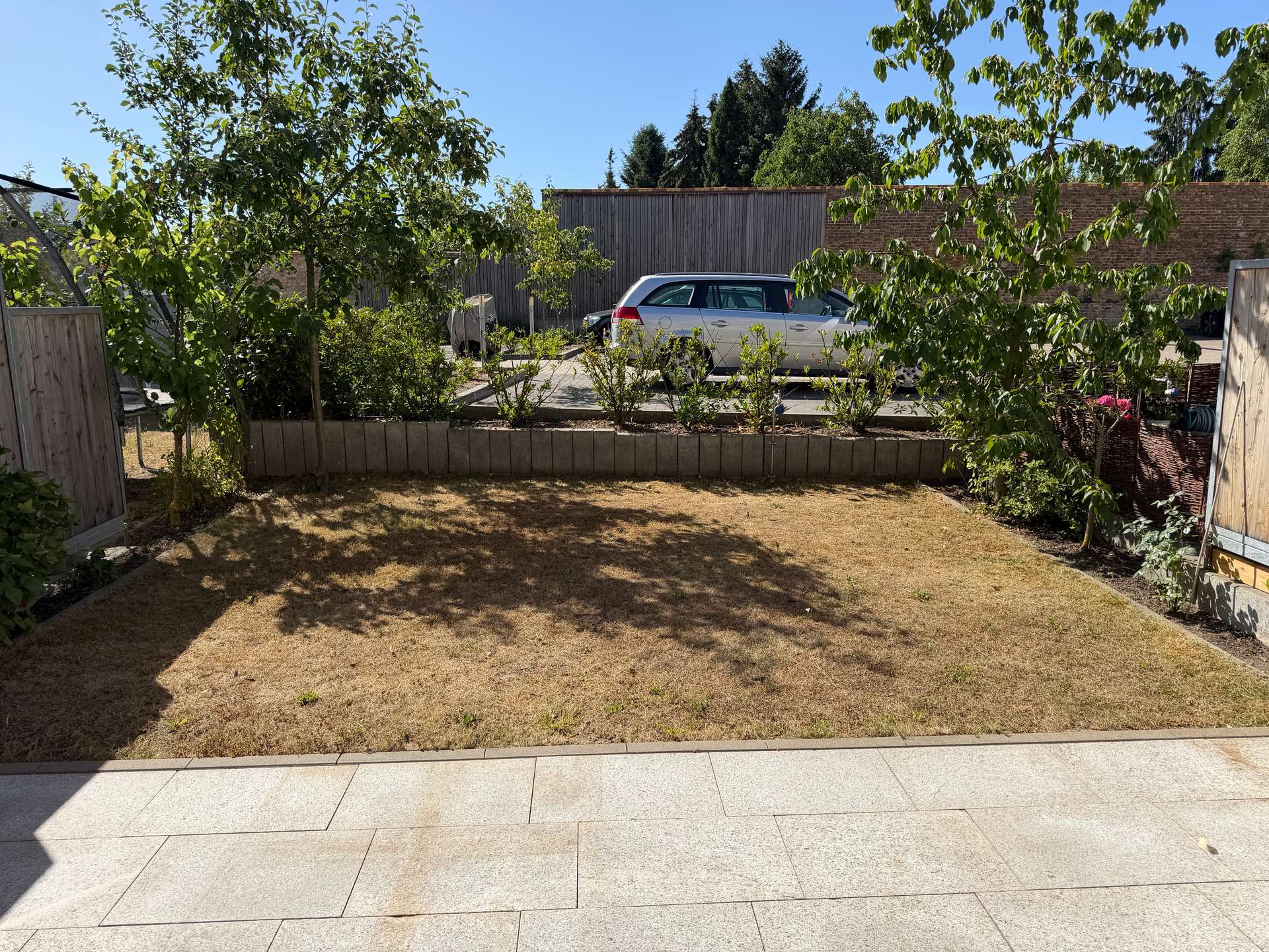 Blick in den Garten